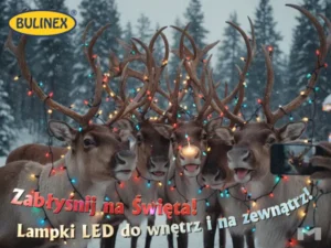 zablysnij-na-swieta-bulinex-lampki-choinkowe-LED-2025