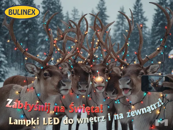 zablysnij-na-swieta-bulinex-lampki-choinkowe-LED-2025