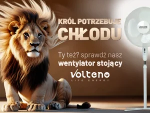 wentylator-stojacy-volteno-start